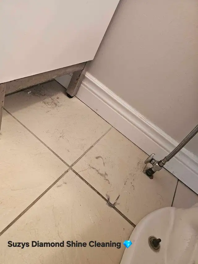 Suzys Diamond Shine Cleaning - Photo 5