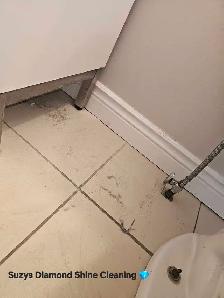 Suzys Diamond Shine Cleaning - Photo 5