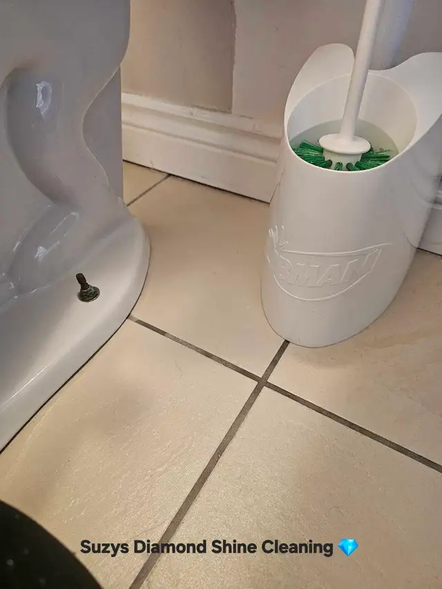 Suzys Diamond Shine Cleaning - Photo 6