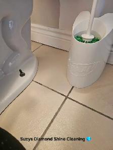 Suzys Diamond Shine Cleaning - Photo 6