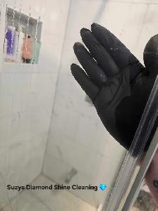 Suzys Diamond Shine Cleaning - Photo 7