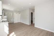 54 Trelawn Parkway, Welland - 1 Bedroom Detached Apartment - Photo 8