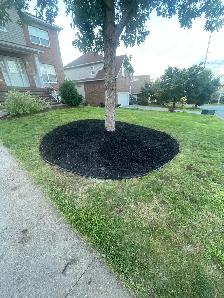 Land Scaping
