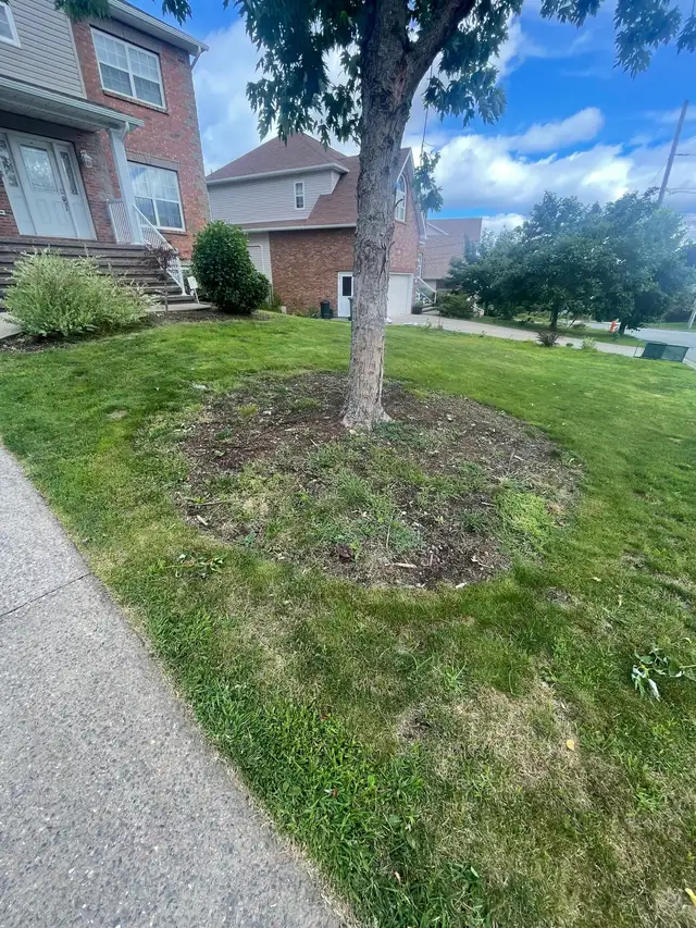 Land Scaping - Photo 2
