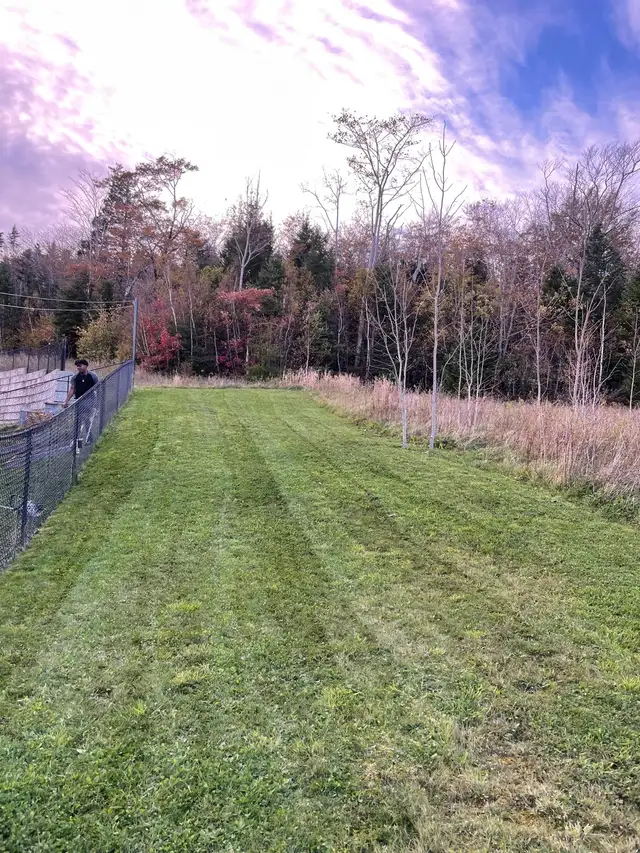 Land Scaping - Photo 3