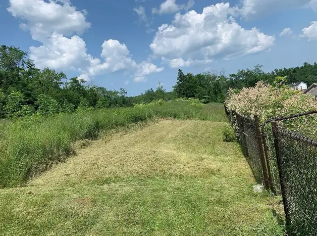Land Scaping - Photo 5