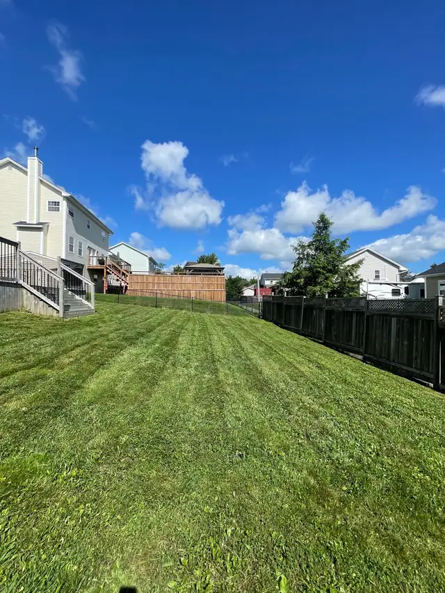 Land Scaping - Photo 7