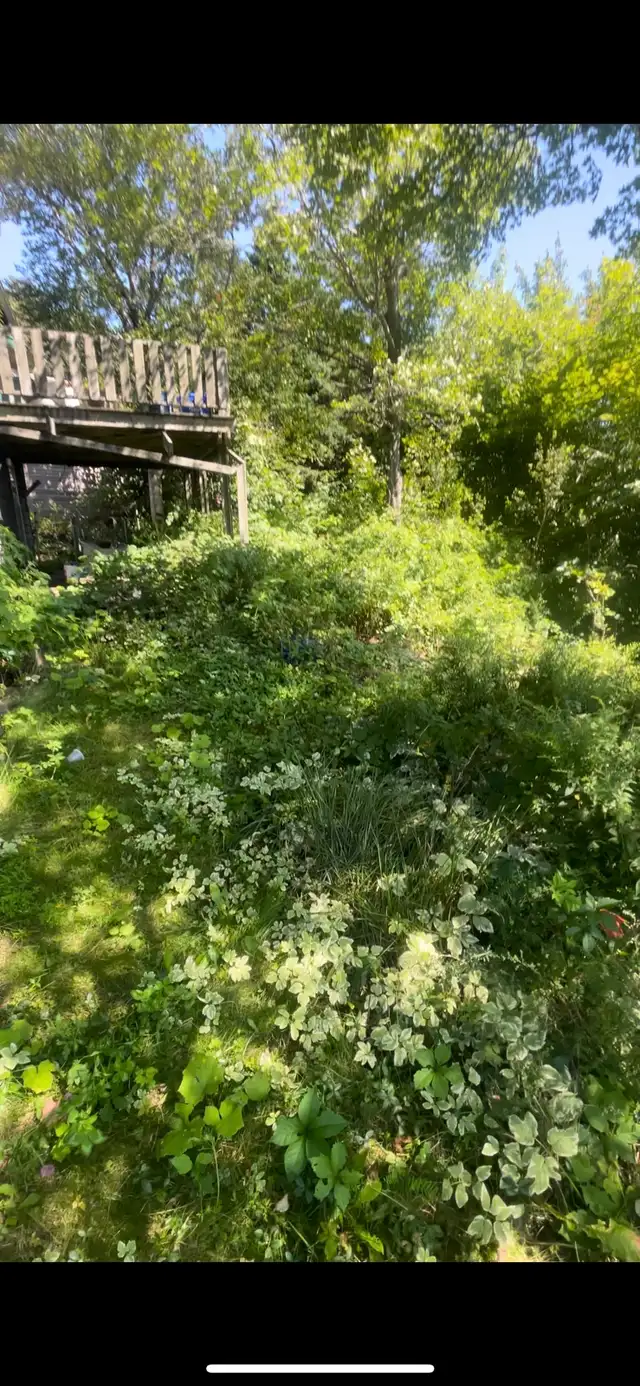 Land Scaping - Photo 8