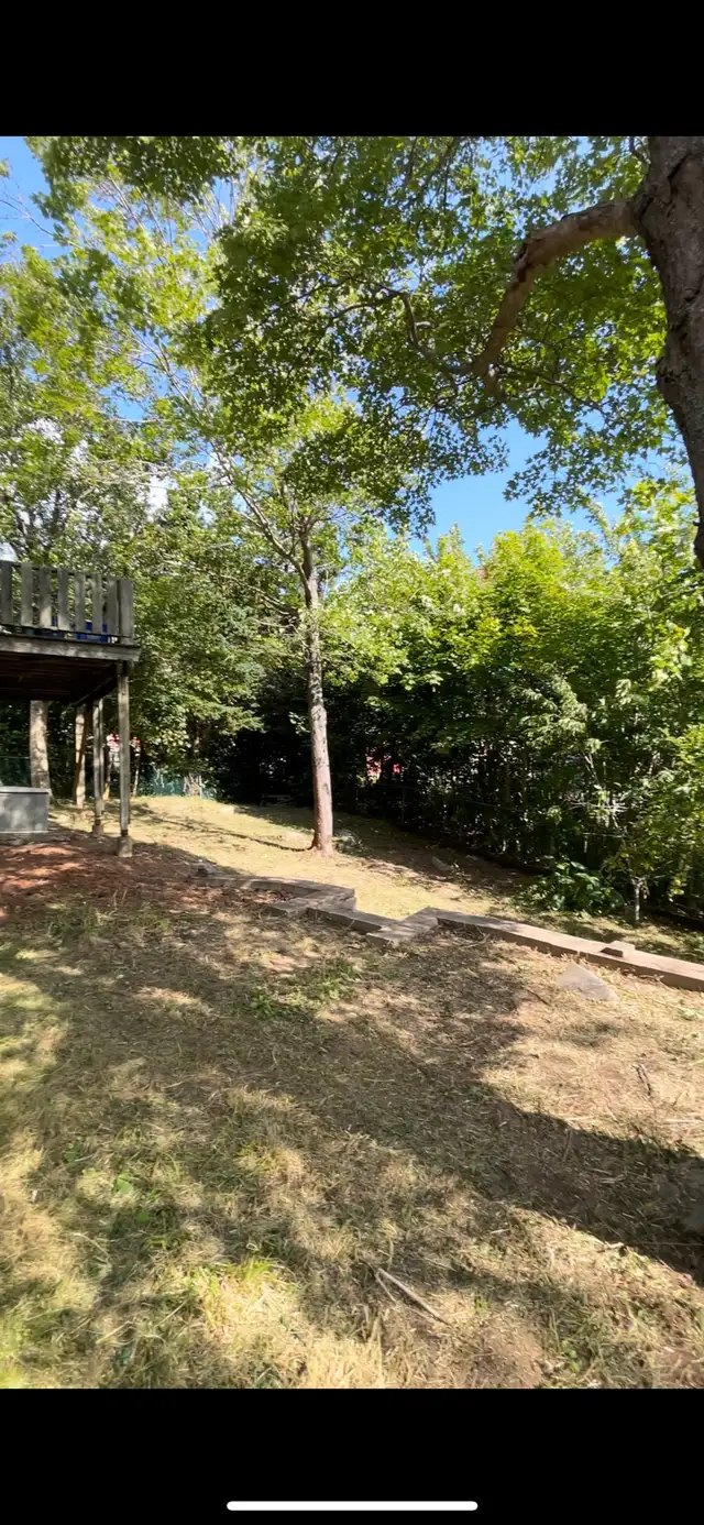 Land Scaping - Photo 9