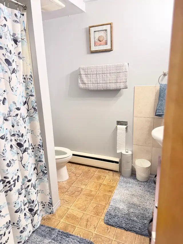 2 Bedroom Suite Available May 1, 2026 - Photo 4