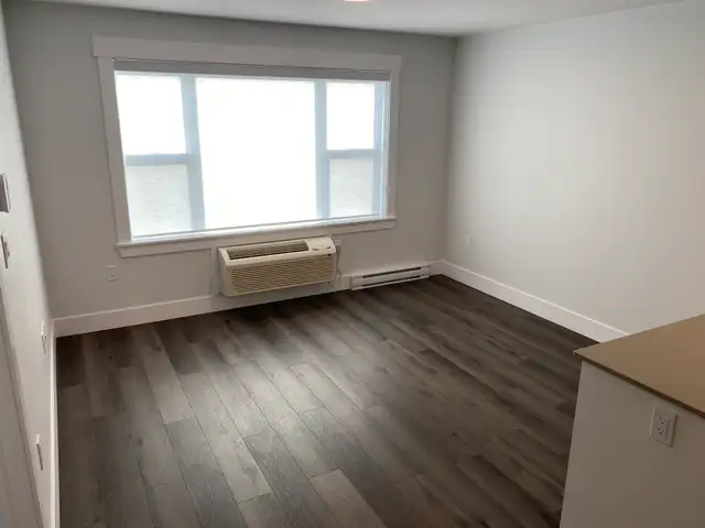 NEW 1-Bed Apts avail July 1! Close to UNB, 217-55 Forest Hill - Photo 5