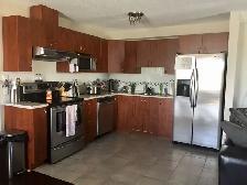 2 Chambres / 5 électroménagers / Plateau - Photo 4