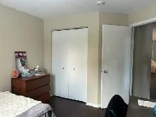 2 Chambres / 5 électroménagers / Plateau - Photo 10