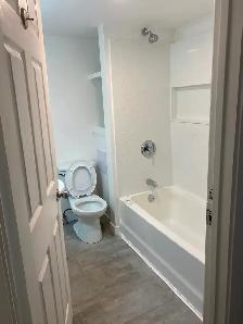 4 Bedroom Home for Rent Available  July 1st - Photo 3