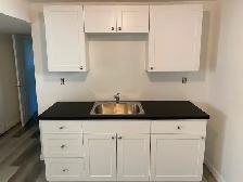 4 Bedroom Home for Rent Available  July 1st - Photo 5