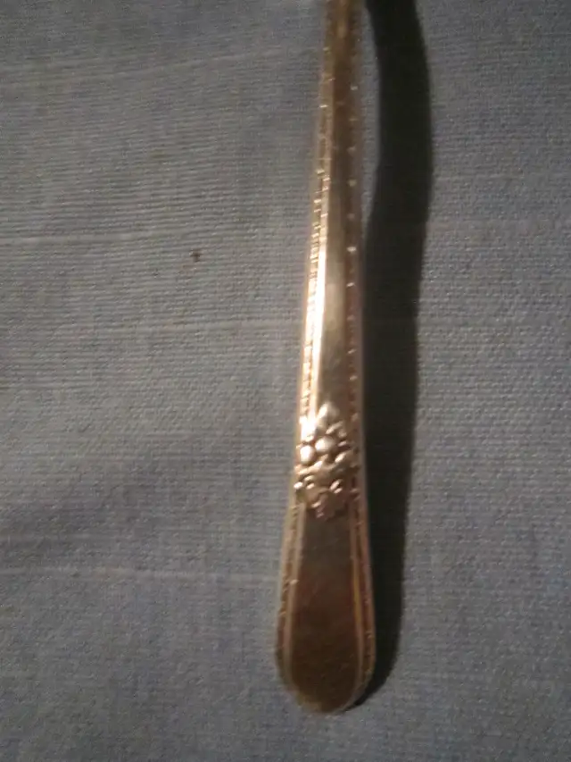 ADORATION silverware set for 8