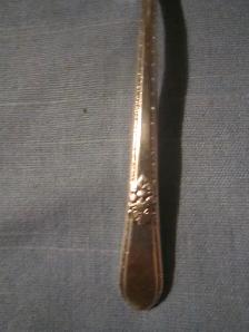 ADORATION silverware set for 8