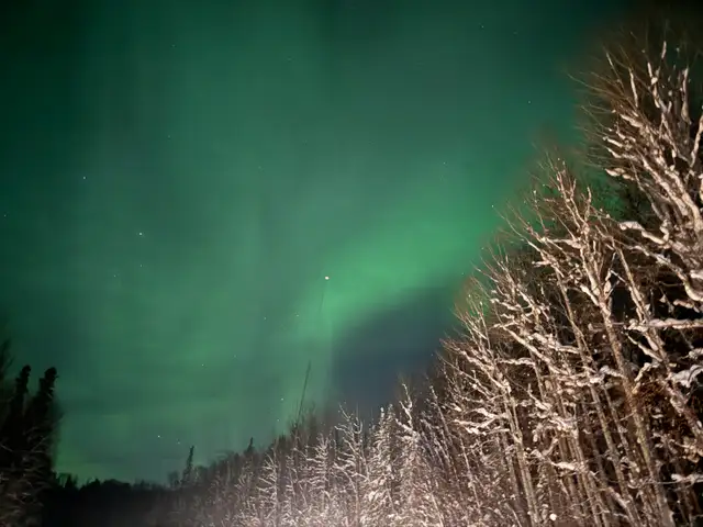 looking to rent a suite. for April 1st