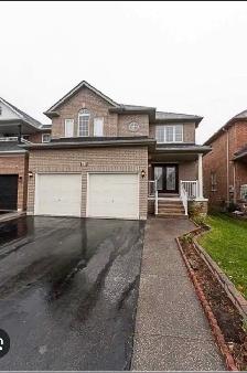 2 bedrooms basement for rent in Brampton