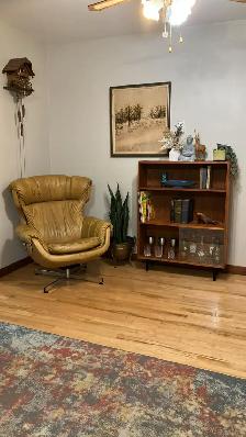 Mid century. TEAK TECK. Crédence, buffet, bar, bibliothèque, vit