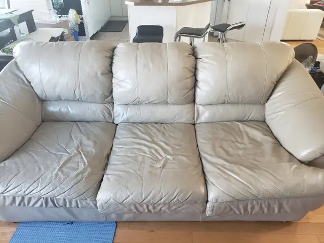 Free leather sofa and loveseats