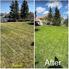 Saskatoon Spring Cleanup – Power Raking & Lawn Revival (20% OFF)
