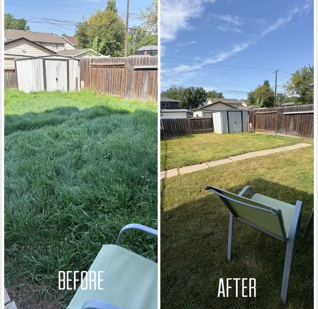 Saskatoon Spring Cleanup – Power Raking & Lawn Revival (20% OFF) - Photo 2