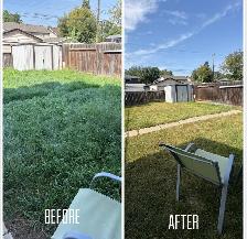 Saskatoon Spring Cleanup – Power Raking & Lawn Revival (20% OFF) - Photo 2