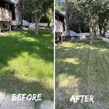 Saskatoon Spring Cleanup – Power Raking & Lawn Revival (20% OFF) - Photo 3