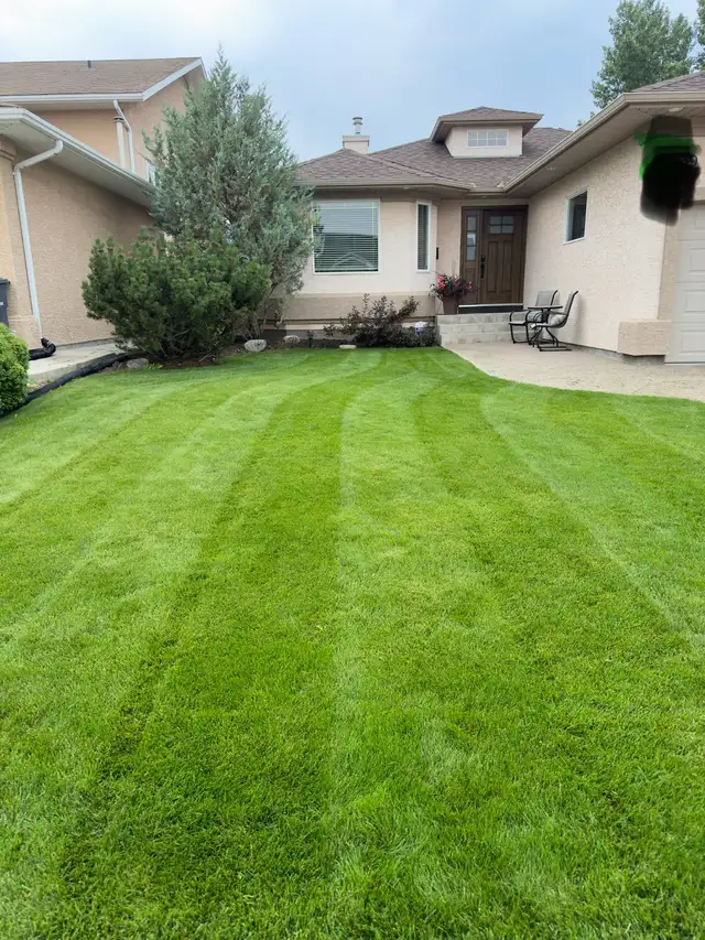 Saskatoon Spring Cleanup – Power Raking & Lawn Revival (20% OFF) - Photo 4