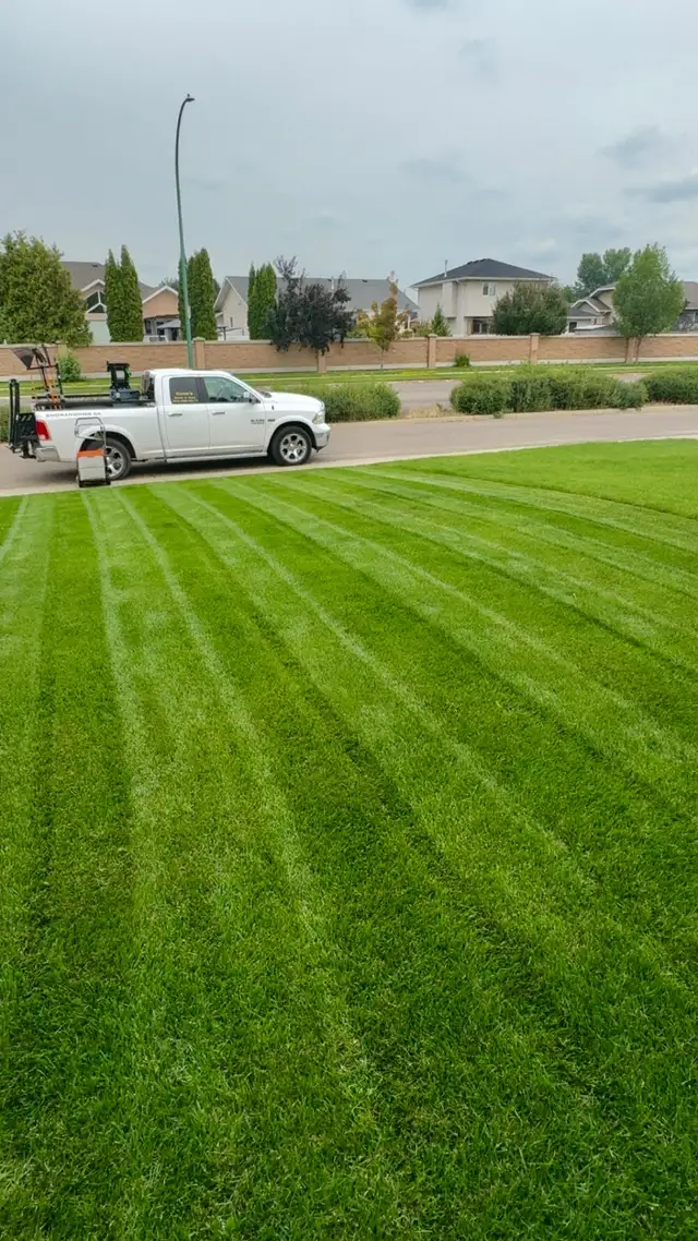 Saskatoon Spring Cleanup – Power Raking & Lawn Revival (20% OFF) - Photo 5