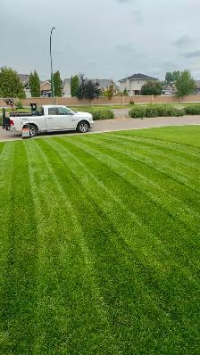 Saskatoon Spring Cleanup – Power Raking & Lawn Revival (20% OFF) - Photo 5