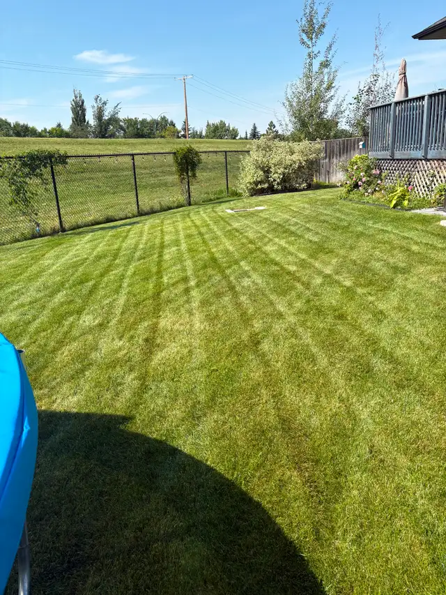 Saskatoon Spring Cleanup – Power Raking & Lawn Revival (20% OFF) - Photo 6