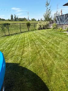 Saskatoon Spring Cleanup – Power Raking & Lawn Revival (20% OFF) - Photo 6