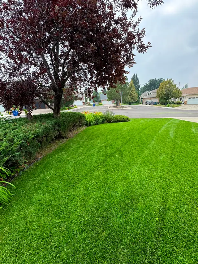 Saskatoon Spring Cleanup – Power Raking & Lawn Revival (20% OFF) - Photo 7