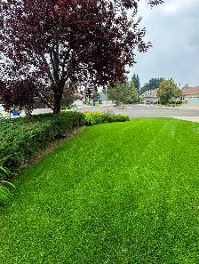 Saskatoon Spring Cleanup – Power Raking & Lawn Revival (20% OFF) - Photo 7