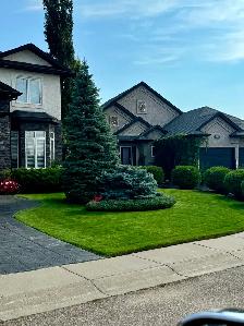 Saskatoon Spring Cleanup – Power Raking & Lawn Revival (20% OFF) - Photo 8