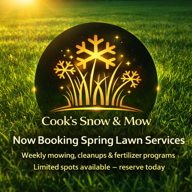 Saskatoon Spring Cleanup – Power Raking & Lawn Revival (20% OFF) - Photo 9