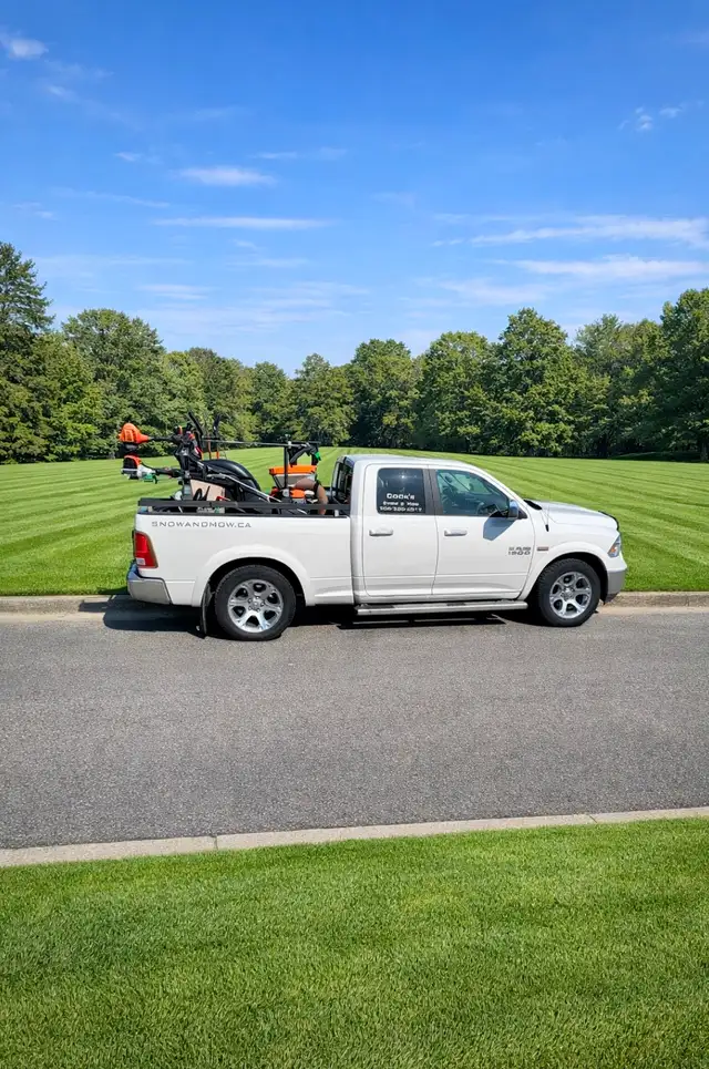 Saskatoon Spring Cleanup – Power Raking & Lawn Revival (20% OFF) - Photo 10