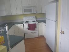 Sunny Two Bedroom Apartment for Rent