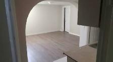 Rundle  2 BR basement - immediate vacancy
