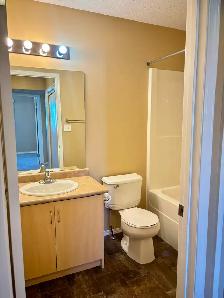 College Park 2 Bedroom - Photo 10