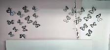 Butterfly Wall Decoration by Umbra - Photo 2