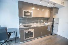 1 Bed 1 Bath furnished Studio Apartment - Photo 2