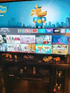 FIRESTICK programming to watch FREE TV FOREVER - Photo 5