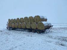 Alfalfa Hay 2nd Cut - Photo 2
