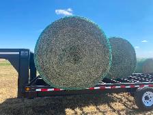 Alfalfa Hay 2nd Cut - Photo 4