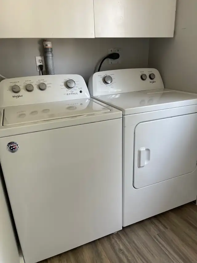 Modern 1BR Waterfront Suite on Niagara Blvd - Parking and Water - Photo 12