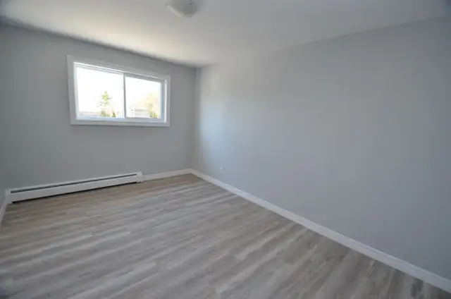 North End 2-Bdrm Quiet Building - Avail now or May - 567 Ontario - Photo 3