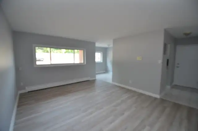 North End 2-Bdrm Quiet Building - Avail now or May - 567 Ontario - Photo 8